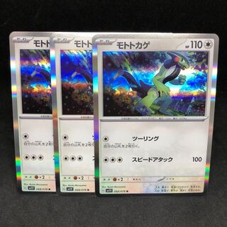 Moto lizard R 068/078 Violet