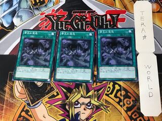 Tenacity of the Monarchs 5 Normal Set of 3 Tera