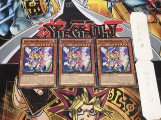 英語版 トゥーン・ブラック・マジシャン・ガール ノーマル 3枚セット