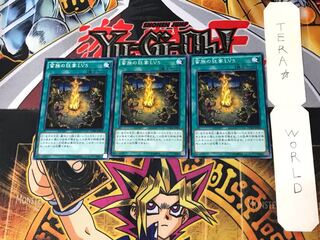 Barbarian Madness LV5 3 Normal Set of 3 Tera