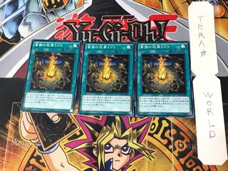 Barbarian Madness LV5 4 Normal Set of 3 Tera