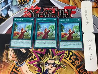 Adamancipator Friends 3 Normal Set of 3 Tera