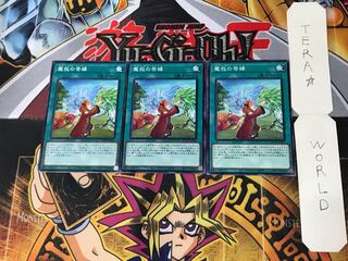 Adamancipator Friends 4 Normal Set of 3 Tera