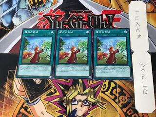 Adamancipator Friends 5 Normal, set of 3 Tera