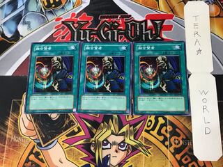 Fusion Sage 3 Normal, set of 3 Tera