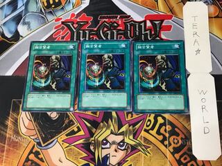 Fusion Sage 4 Normal, set of 3 Tera.