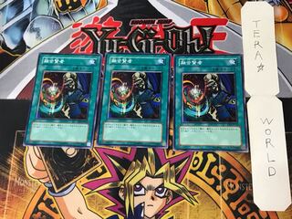 Fusion Sage 5 Normal, set of 3 Tera.