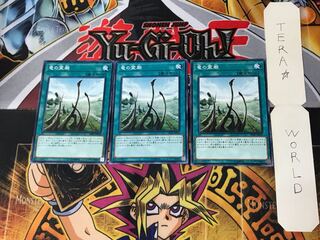 Dragon Shrine 1 Normal, set of 3 Tera