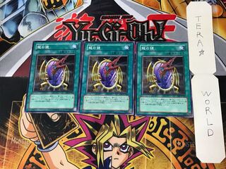 Dragon's Mirror 5 Normal, set of 3 Tera