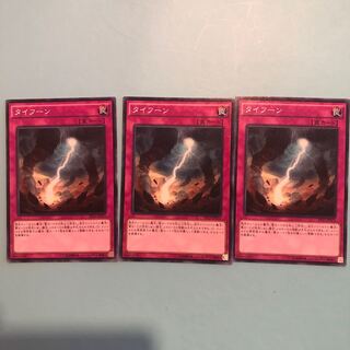 【もふもふ】タイフーン