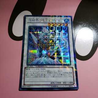 氷結界の虎王ドゥローレン　DTC1シークレットレアプレイ用