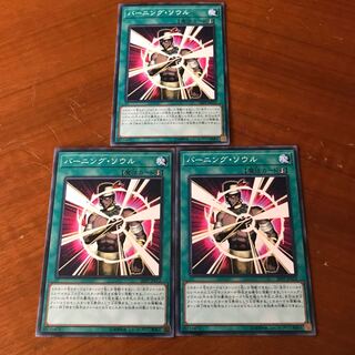 バーニングソウル #ぽんこつ N3枚