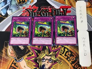Gyo! 2 Normal, set of 3 Tera. 3枚