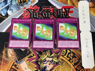 Synchro Transmission 1 Normal, set of 3 Tera