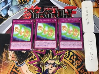 Synchro Transmission 2 Normal, set of 3, Tera