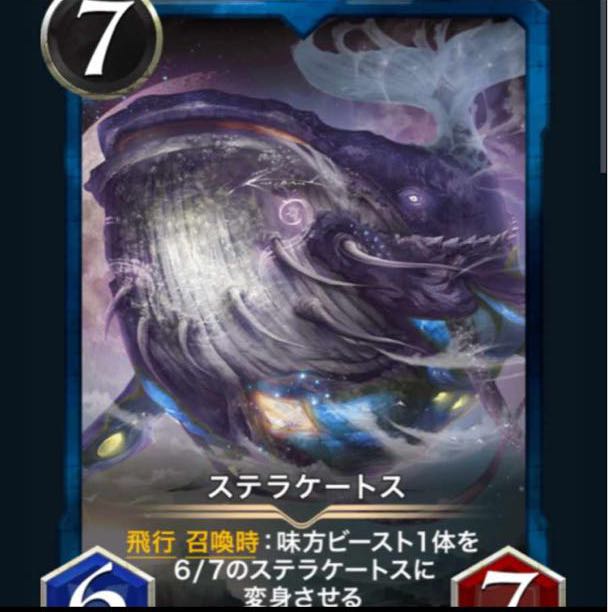 ステラケートス　2枚