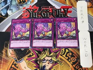 Setuppercut 1 Normal, set of 3 Tera.