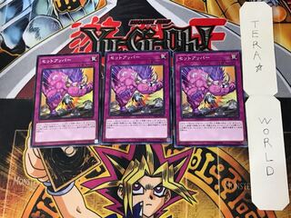 Setuppercut 3 Normal Set of 3 Tera