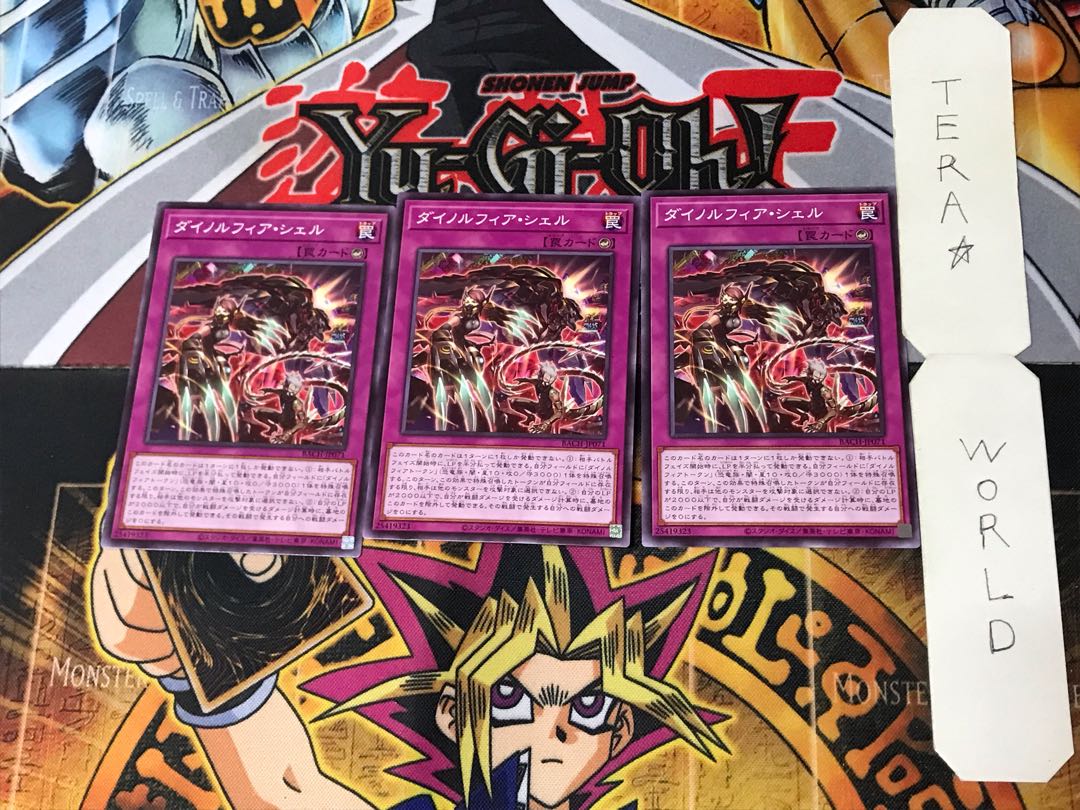 Dinorphia Shell 1 Normal, set of 3 Tera.