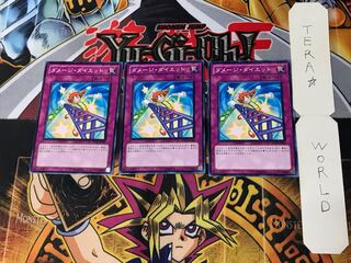 Damage Diet 4 Normal, set of 3 Tera