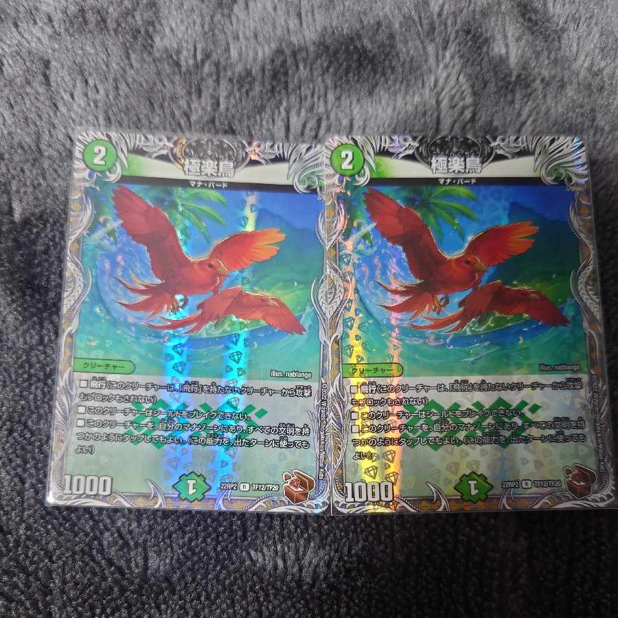Birds of Paradise (Copper Treasure) R-foil TF12/TF20