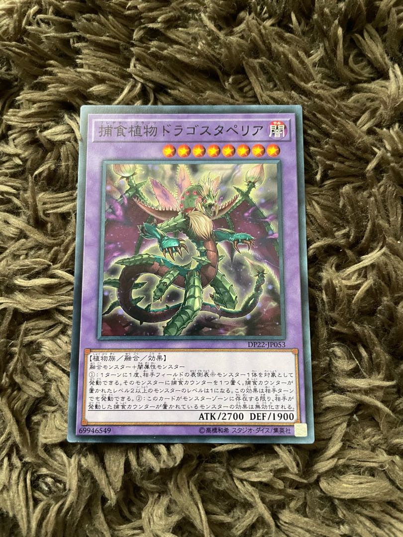 Predaplant Dragostapelia Normal JP053