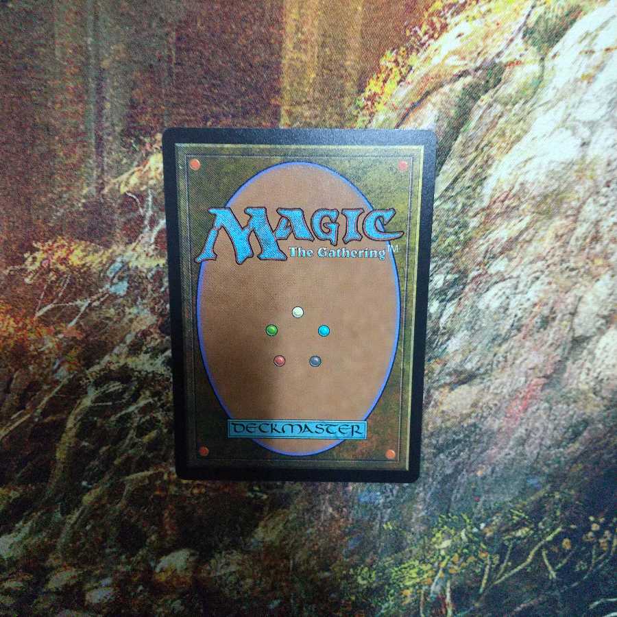 寓話の小道 日本語1枚