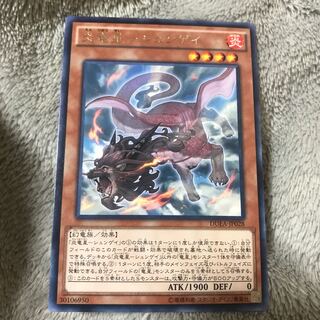 マドレース 炎竜星-シュンゲイ