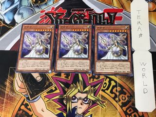 とろっこ＠プロフ必読 様 専用 1枚