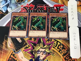 Thunder Dragon 4 Normal, set of 3 Tera.