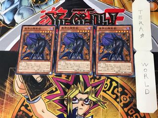 異界の棘紫獣 3 ノーマル 3枚セット てら