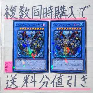 Discount on shipping charges for multiple simultaneous purchases] Gishki Zielgigas SP x 2