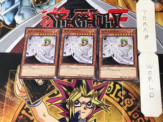 Vanity's Ruler 1 Normal, set of 3 Tera.