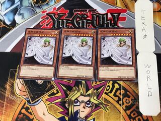 Vanity's Ruler 3 Normal, set of 3 Tera.