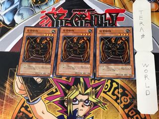 地雷蜘蛛 5 ノーマル 3枚セット てら