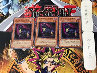 不幸を告げる黒猫 1 ノーマル 3枚セット てら