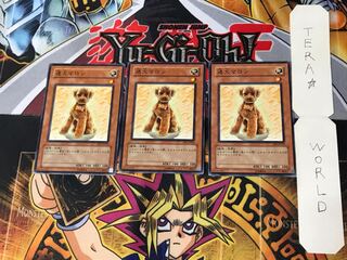 Outstanding Dog Marron 2 Normal, set of 3 Tera