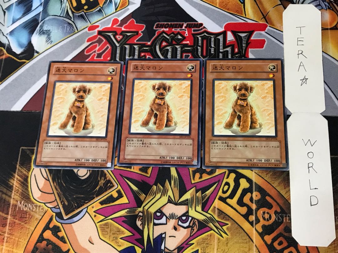 Outstanding Dog Marron 3 Normal, set of 3 Tera