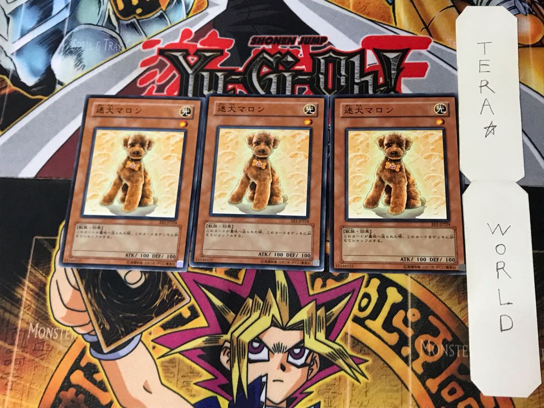 Outstanding Dog Marron 4 Normal, set of 3 Tera.