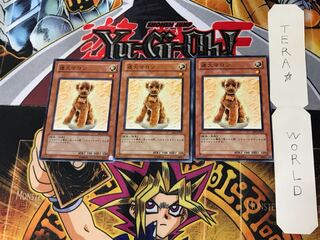 Outstanding Dog Marron 5 Normal, set of 3 Tera