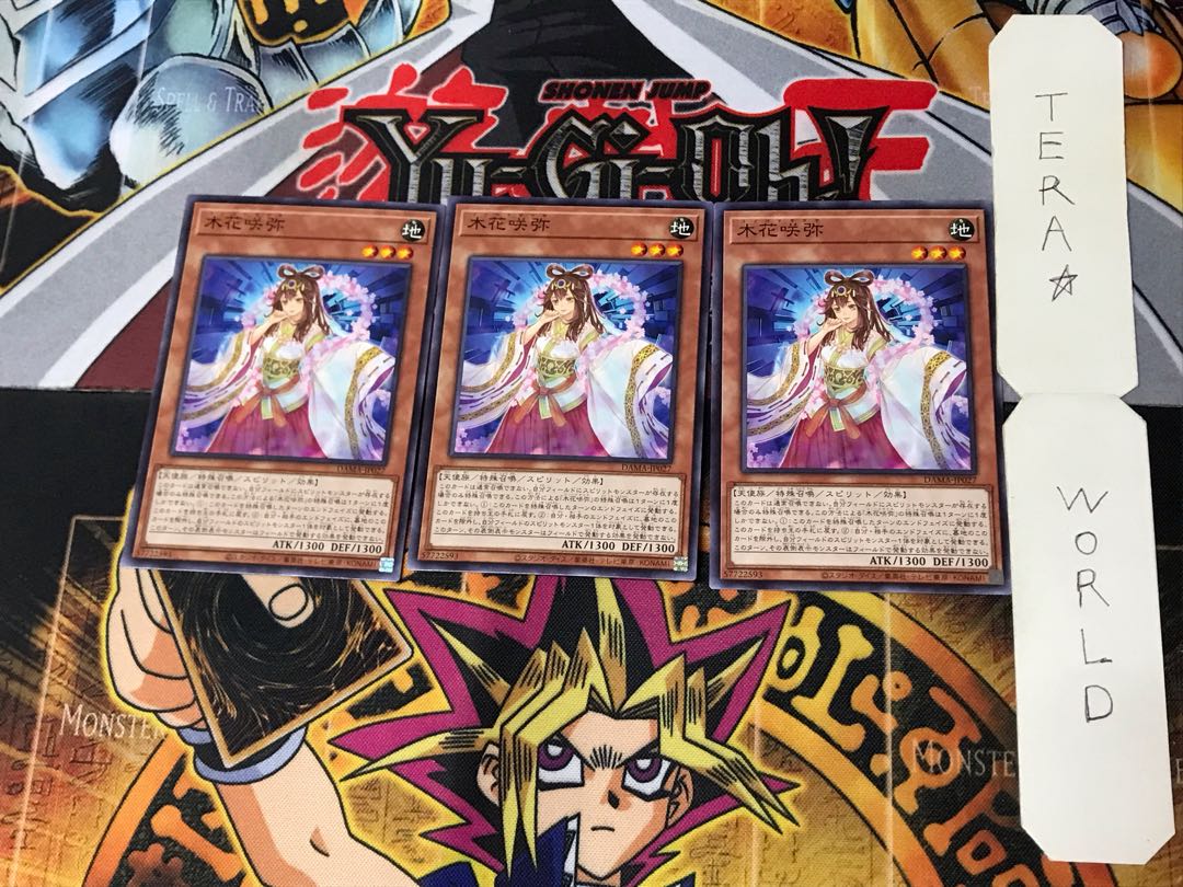 Konohanasakuya 2 Normal, set of 3 Tera