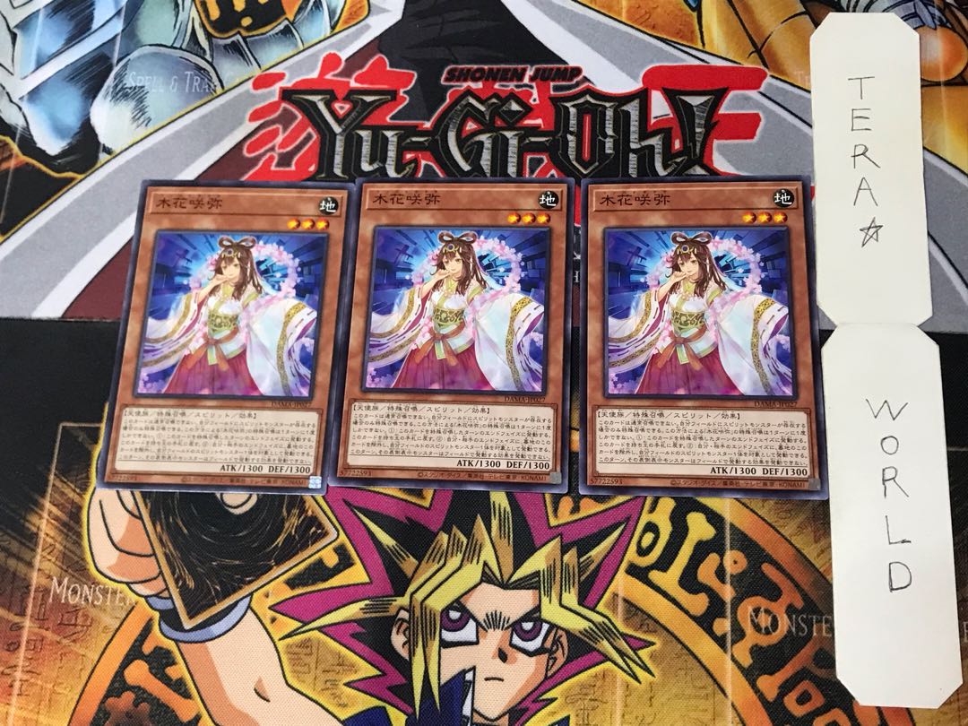 Konohanasakuya 3 Normal Set of 3 Tera