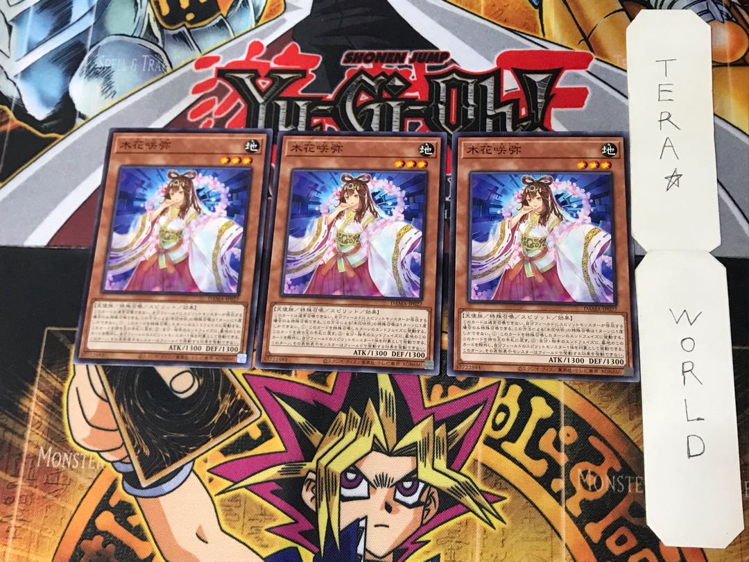 Konohanasakuya 5 Normal, set of 3 Tera