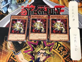 Polymerization Jyuken Life Objects - Light 5 Normal, set of 3 Tera