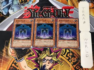 Protector of the Sanctuary 3 Normal, set of 3 Tera.