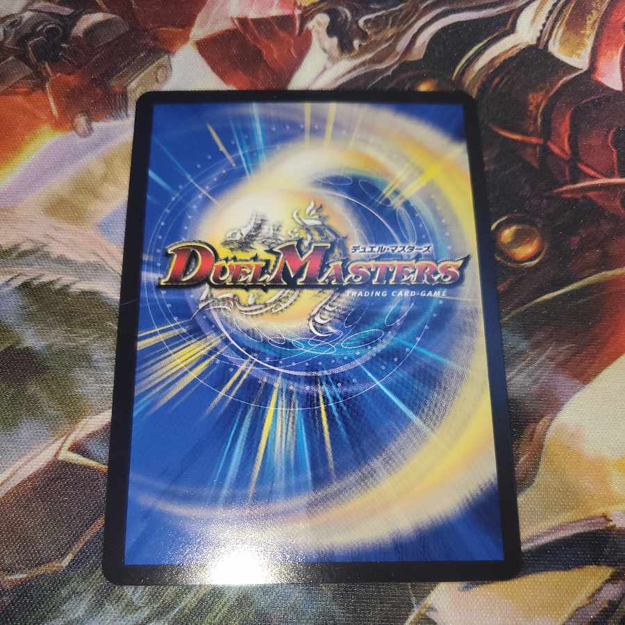 Birds of Paradise Copperplate engraving