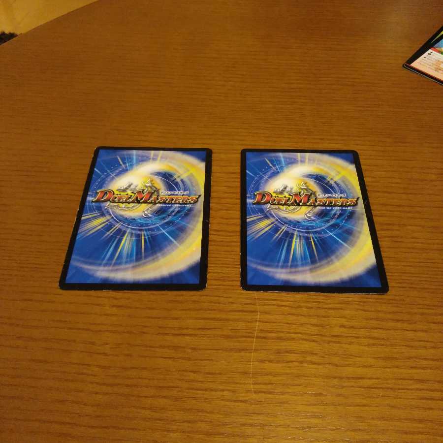 聖霊龍王アルカディアスd