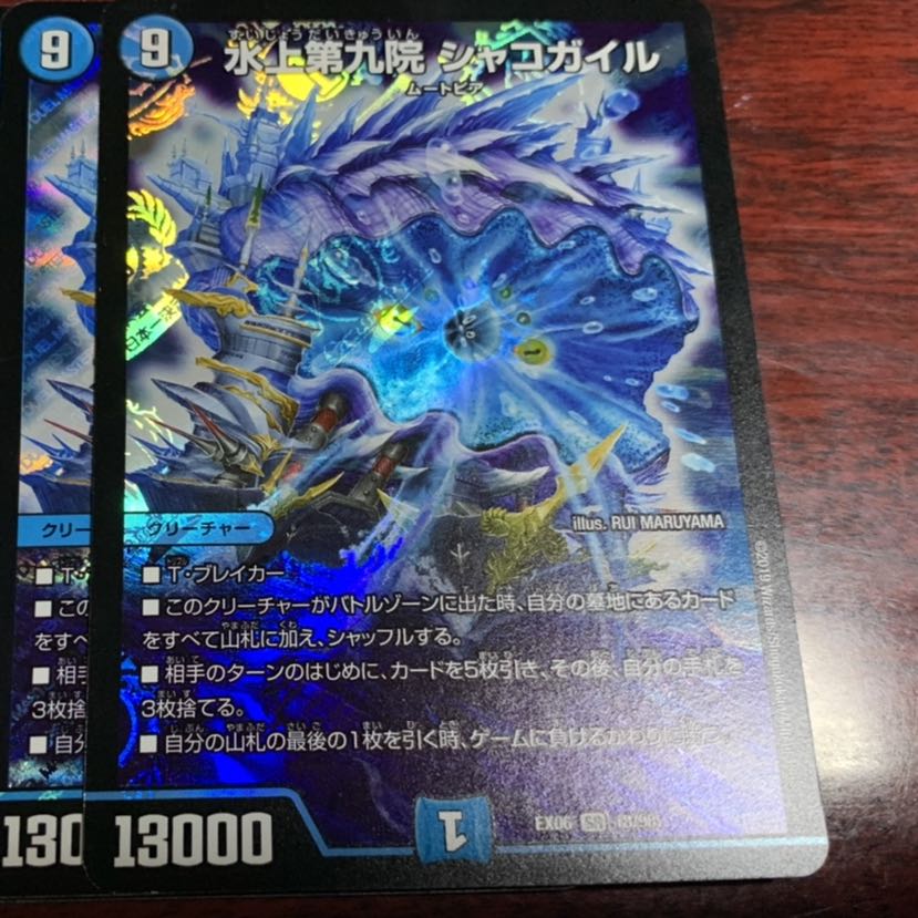 シャコガイル 2枚