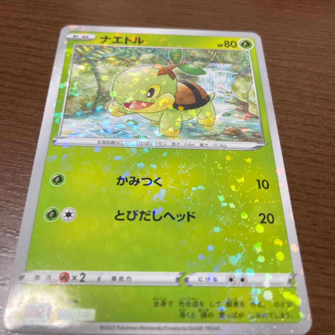 Turtwig(Kira) 006/172
