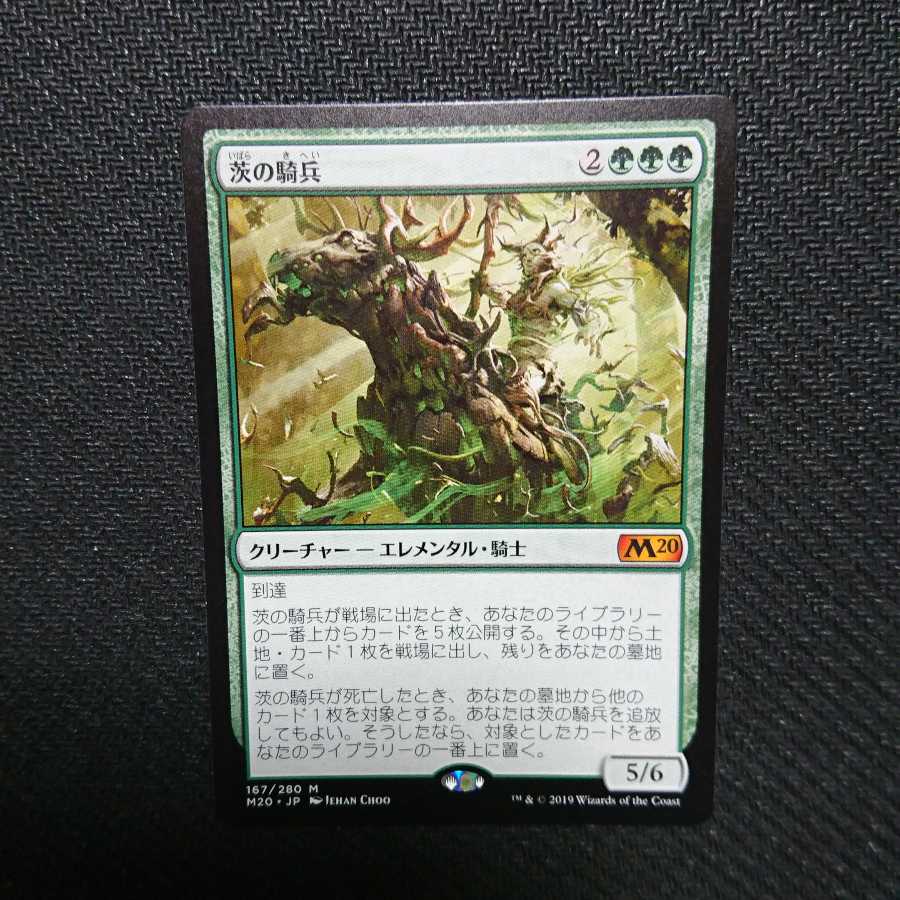 茨の騎兵 1枚 〈値下げ不可〉